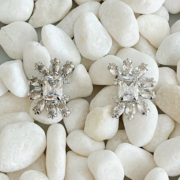 Shine Crusted Jewel Stud Earrings