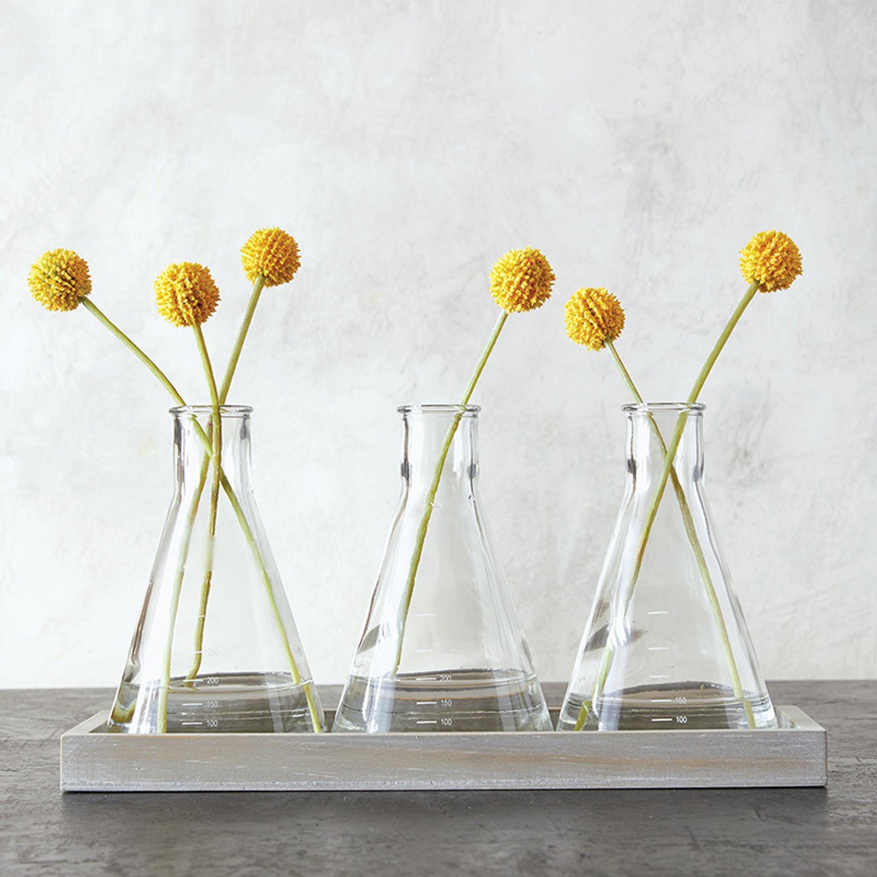 Glass Beaker Vase Trio Set | With Wood Tray